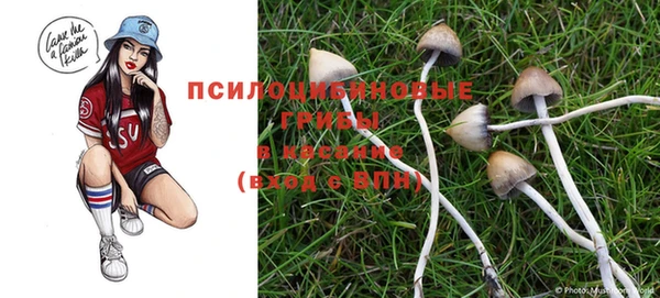 метамфетамин Балахна