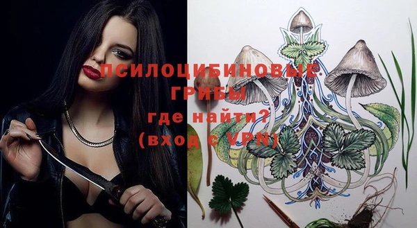 дмт Баксан