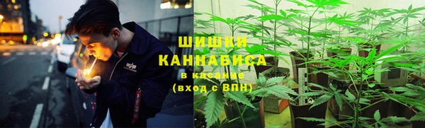 бошки Аркадак